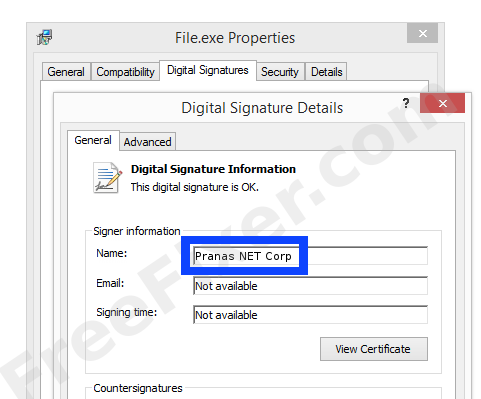 Screenshot of the Pranas NET Corp certificate